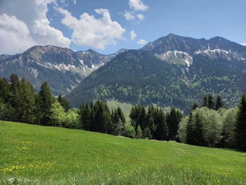 Natur